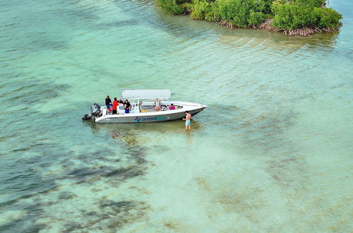 Photo 52 - Orchid Bay Resort