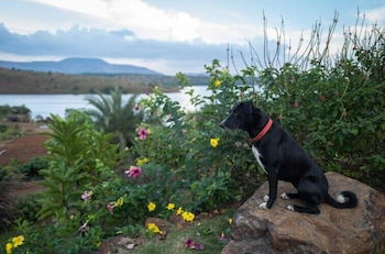 Photo 21 - Amã Stays & Trails L'Attitude By The Lake, Kamshet