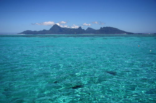 Photo 39 - Tahiti Sail and Dive