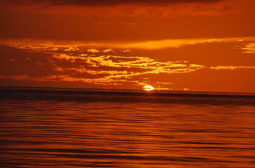 Photo 38 - Tahiti Sail and Dive