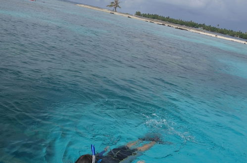 Photo 37 - Tahiti Sail and Dive