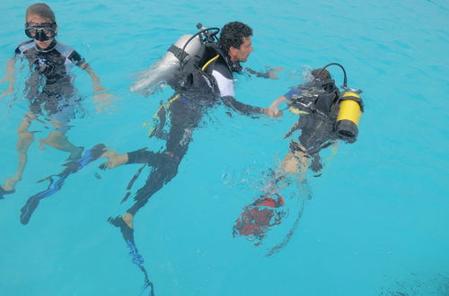 Photo 13 - Tahiti Sail and Dive