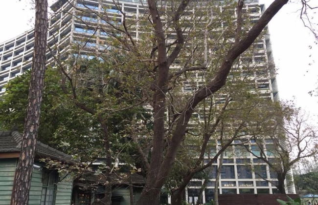 Dongqu Light Inn - Foto 17