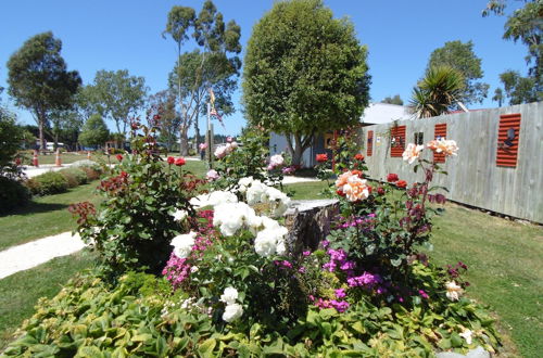 Photo 35 - Glenavys Waitaki River Motor Camp - Caravan Park