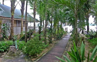 Photo 2 - La Salangane Caalan Beach Villa