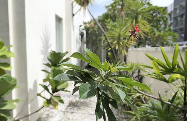 Gurney 4 Plus 1 Bali Style Tranquil Villa - Foto 29
