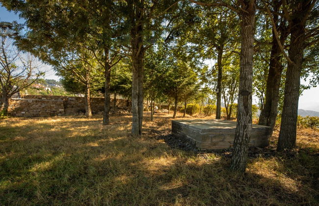 BluSalzz Homes - The Himalayan Bungalow, Almora - Uttarakhand - Foto 29