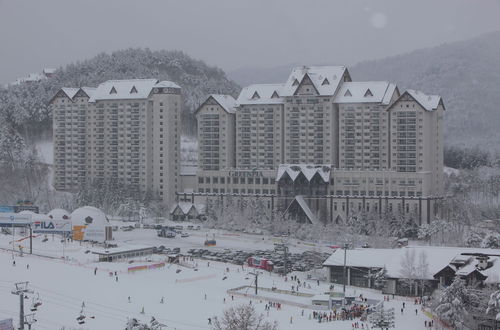 Photo 48 - Yongpyong Resort Greenpia Condominium