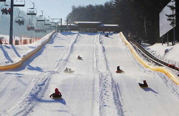 Mona Yongpyong Tower Condominium - Photo 70