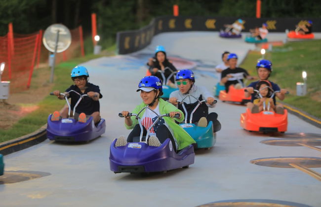 Mona Yongpyong Tower Condominium - Photo 79