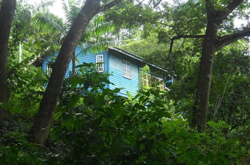 Photo 35 - Adventure Eco Villas