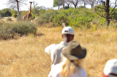 Photo 17 - Ruaha Dream Villa