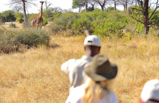 Ruaha Dream Villa - Photo 24