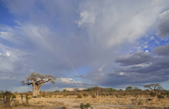 Ruaha Dream Villa - Photo 22