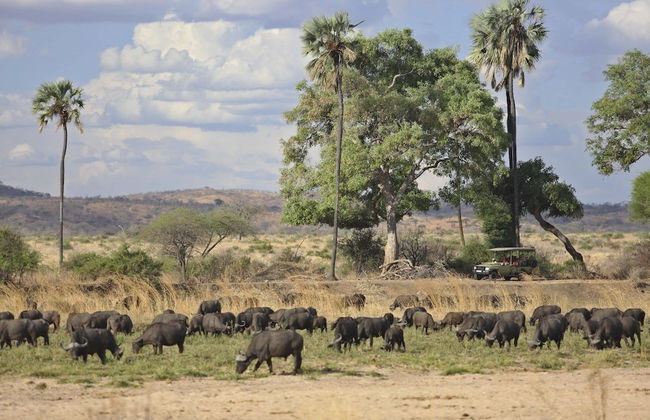 Ruaha Dream Villa - Photo 29