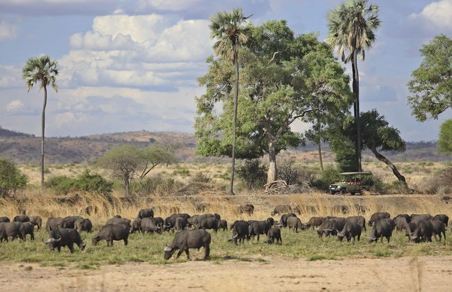 Ruaha Dream Villa - Photo 23