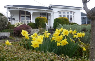 Photo 1 - Oamaru Holiday Homes 28 Ure Street