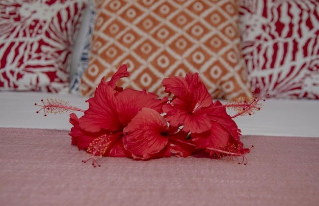 Domaine Desaubin Luxury Villas - Foto 4