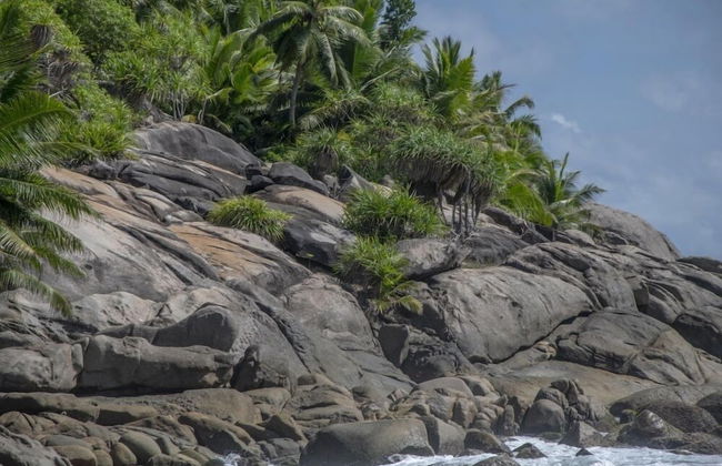 Domaine Desaubin Luxury Villas - Foto 42