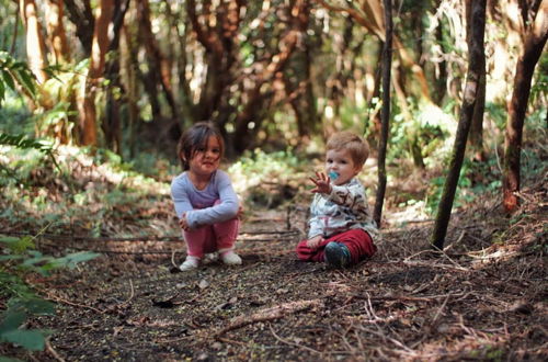 Photo 46 - Cabañas Ensenada Bosque Nativo