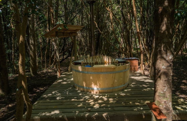 Cabañas Ensenada Bosque Nativo - Foto 49