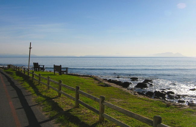 The View - Photo 25