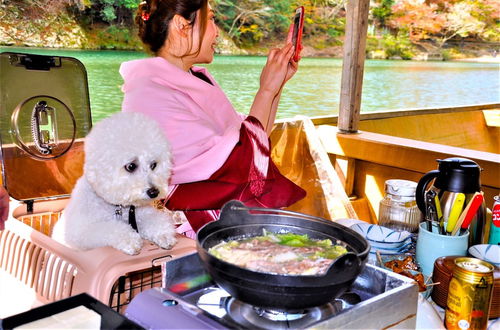 Photo 44 - Riverside Arashiyama