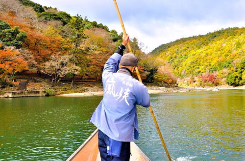 Photo 33 - Riverside Arashiyama