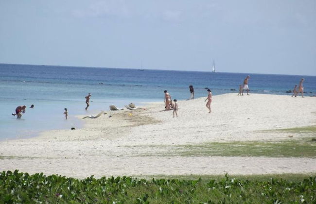 West Front One No 4 With Seafront Beachfront Licensed By Tourism Authority 14977 - Foto 14
