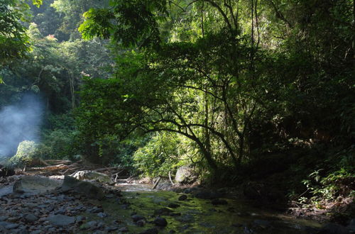 Foto 5 - Room in Lodge - Holiday Rental in Sumatra