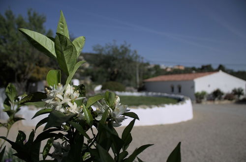 Photo 16 - Suite Swimming Pool Quinta da Eira 140 Years old