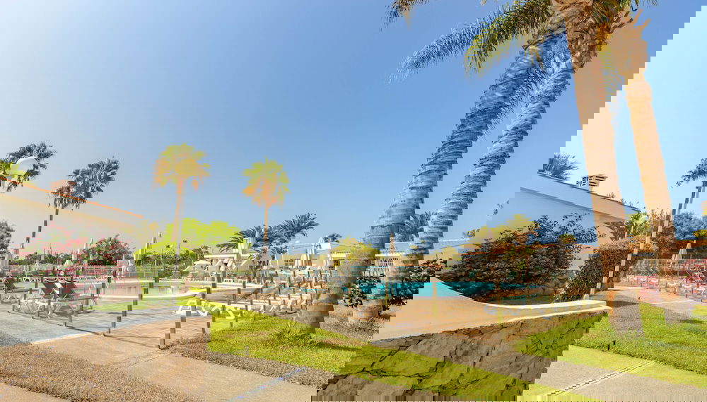 Image principale