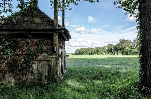 Photo 22 - Staying in a Thatched Barn With box Bed, Beautiful View, Region Achterhoek