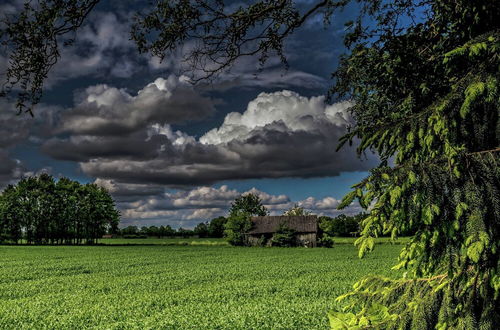 Photo 21 - Staying in a Thatched Barn With box Bed, Beautiful View, Region Achterhoek