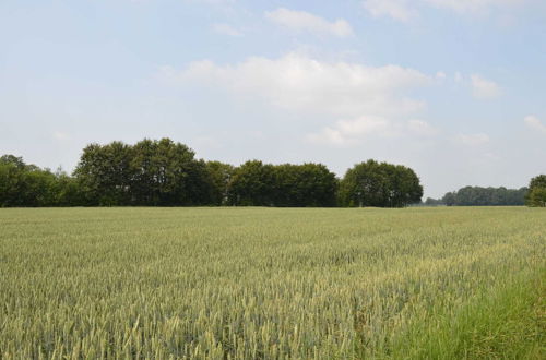 Photo 12 - Staying in a Thatched Barn With box Bed, Beautiful View, Region Achterhoek