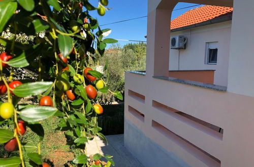 Photo 25 - Schöne Ferienwohnung mit Terrasse, Roses