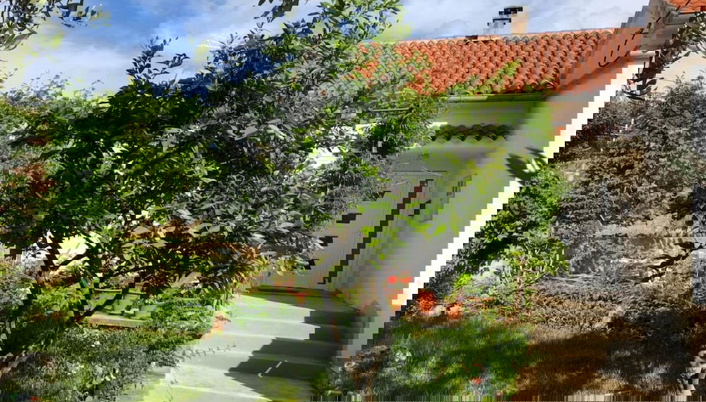 Imagem principal