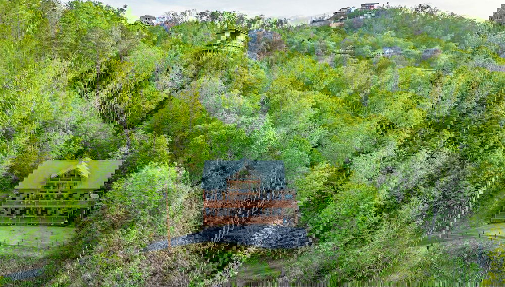 Imagem principal