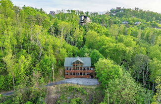 Photo 1 - Hollow's Haven by Avantstay Hot Tub, Sauna, Balcony and Tree Top Views