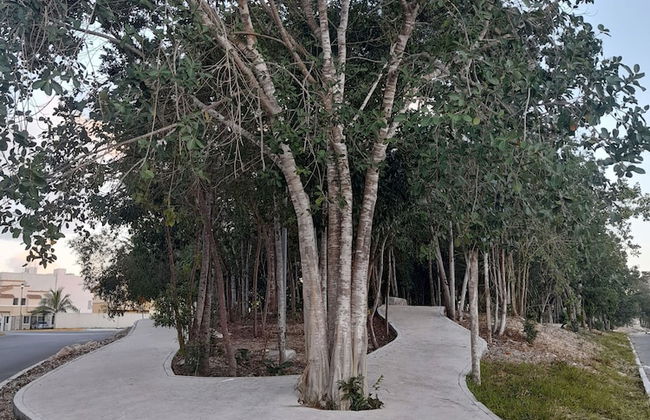 Devoted Hoestel in Cancun With Equipped Kitchen, Pool, Close to Beaches & More! - Photo 31