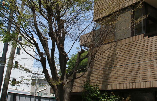 Guest House Dohei - Foto 66