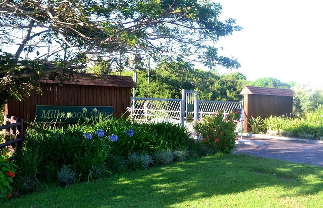 Baviaanshoek - Foto 19