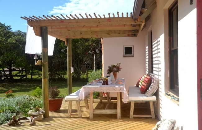 Baviaanshoek - Foto 26