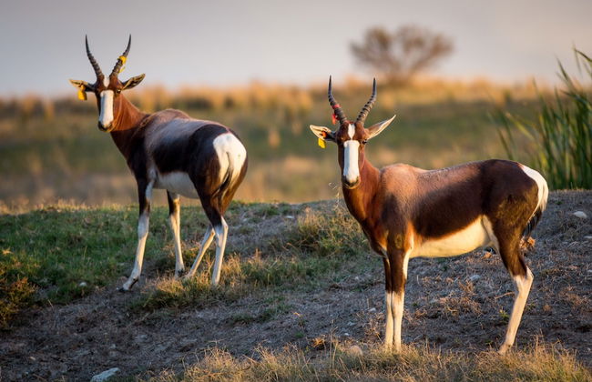 Kwetu Guest Farm - Photo 78