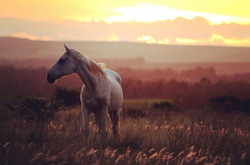 Photo 21 - Kwetu Guest Farm