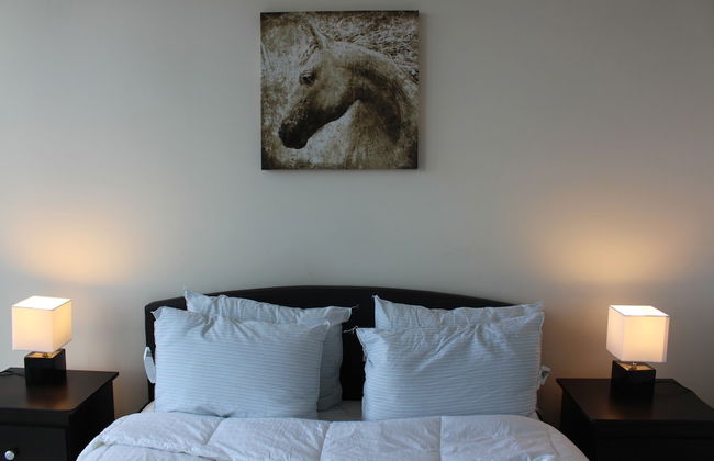 Custom Luxury Suite - By Elite Suites - Foto 8