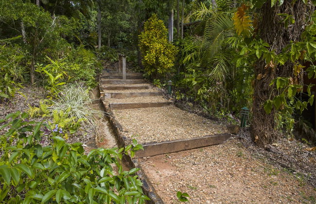 Milkwood Lodge - Foto 10