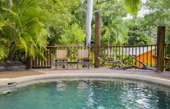 Milkwood Lodge - Foto 7