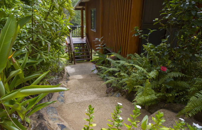 Milkwood Lodge - Foto 11