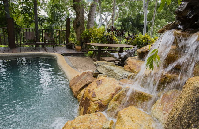 Milkwood Lodge - Foto 8